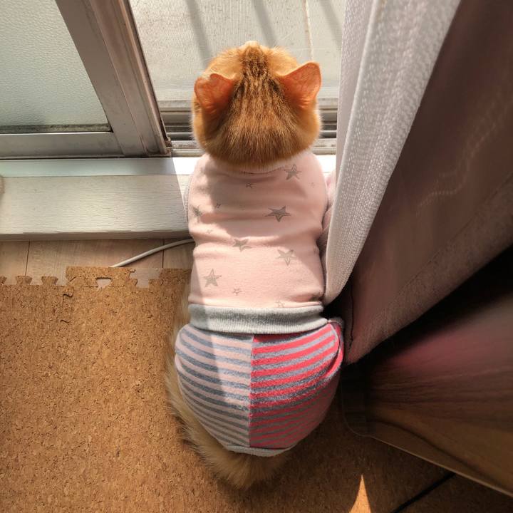 298a4244 4360 45fc 8941 c16070b54635 1556929119646