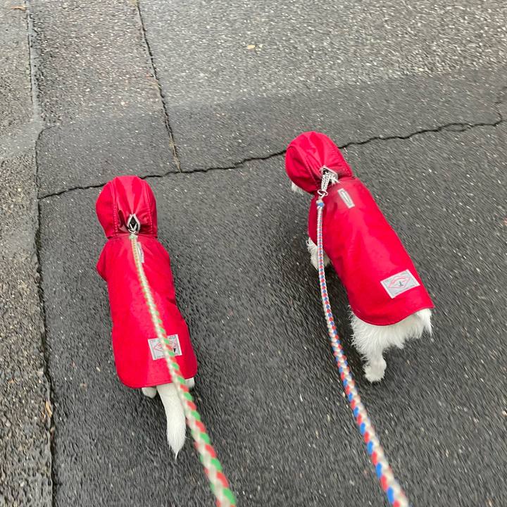 298a79a6 9885 44a8 8000 81e29415d2d5 1704497281783