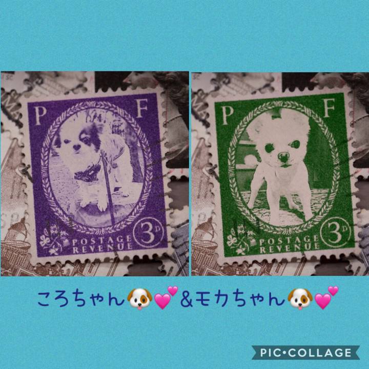 298a85c0 1994 4a93 81c6 7eacf4f7e8e0 1570085712203