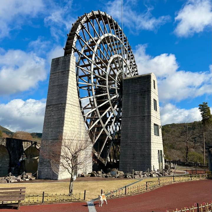 298a914a 0591 4218 8502 32a9b7ddffa3 1735213114515