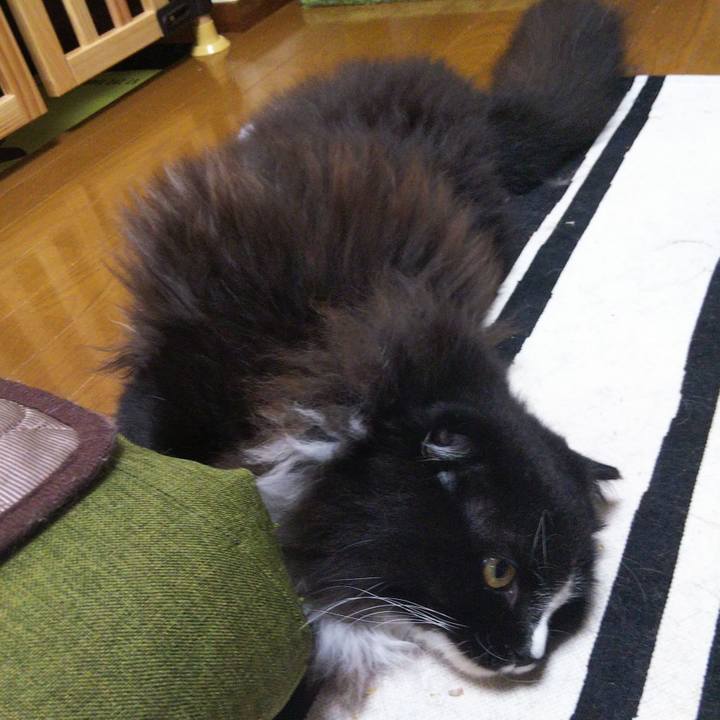 298a9eb6 9a42 4201 933d 59bf2748a909 1658667558573