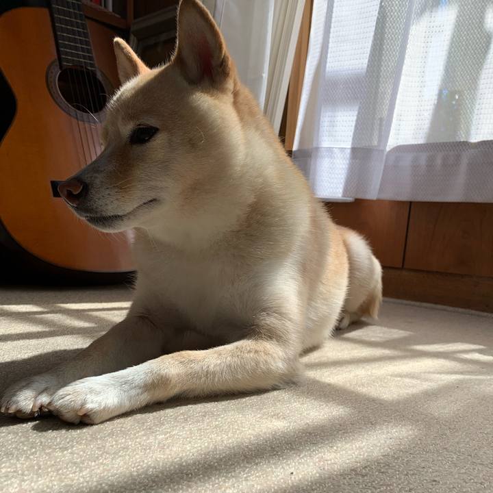 298ab99d 69d5 4528 9c66 3d0e70c6d3c2 1632102757374