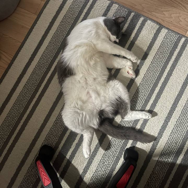 298adec7 bcc2 433a a978 c0b095aa0d1c 1755322086323