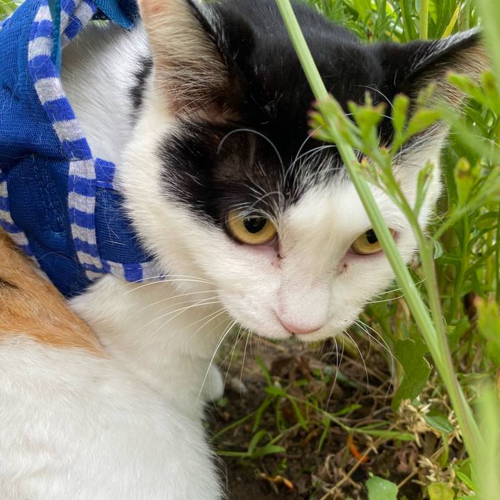 298aef4f 8aa9 4e8b 9723 5750c500f709 1652007935532