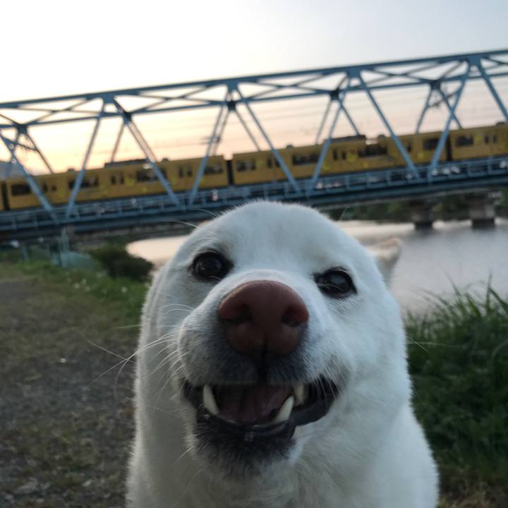 298b0121 b6f7 4253 9094 48560d9e1edd 1523611683772