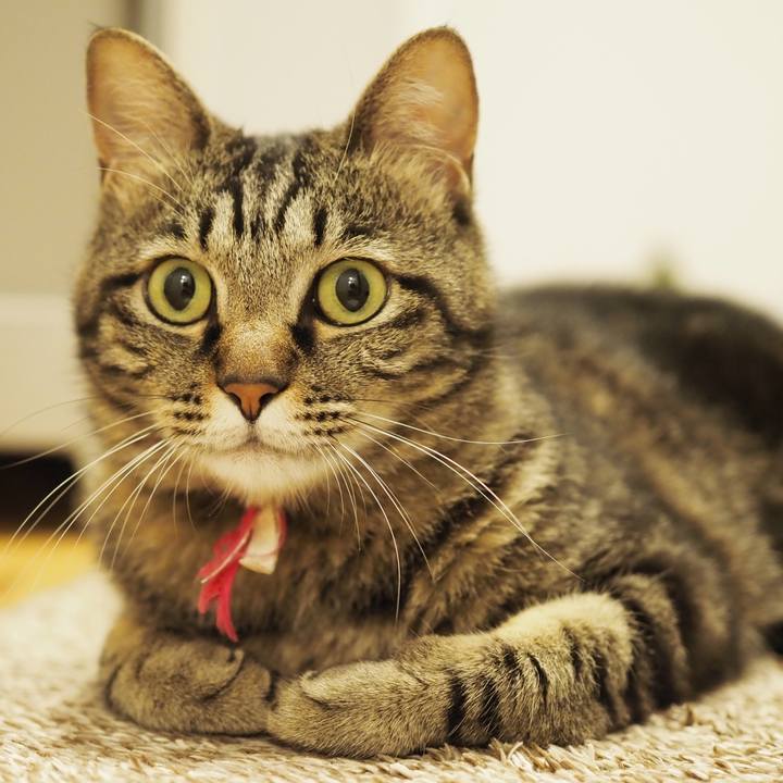 298b0ab0 b3e9 4b21 a0b4 aadfc2abd14a 1625024658421