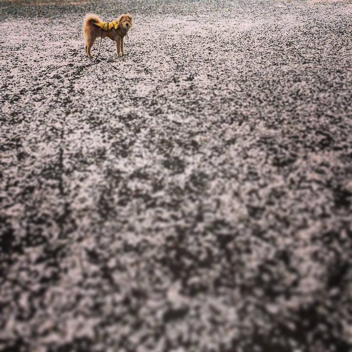 298b1784 bcee 4cf5 84fd f1bb4e70c507 1585878353160