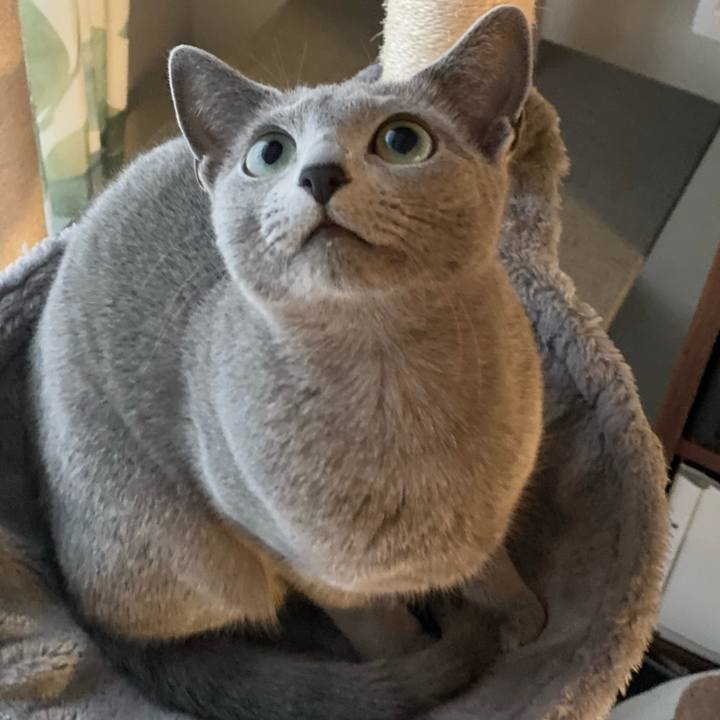 298b195b 7a1f 4259 9a3d 39ed19473128 1619182822069