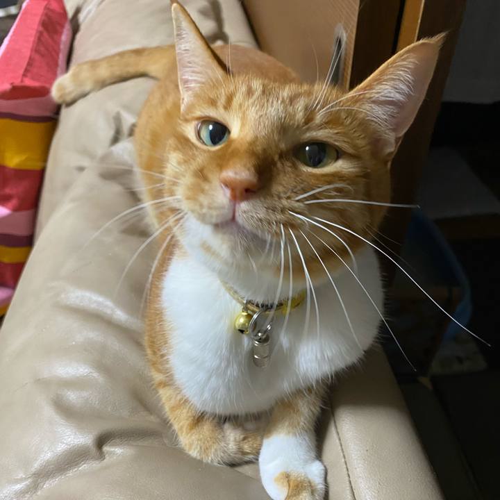 298b1b1e 25b7 4137 be66 6154ccb0794c 1598062920119