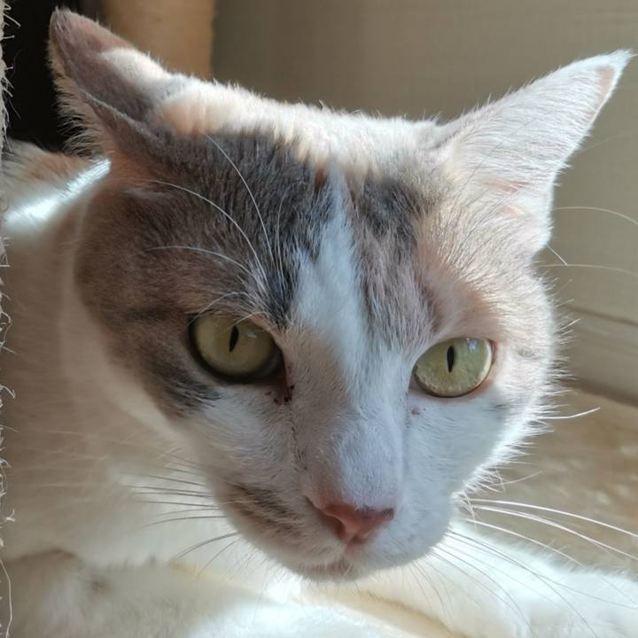 298b1e38 3f76 4ee8 9106 8c6581b65db3 1634525586875