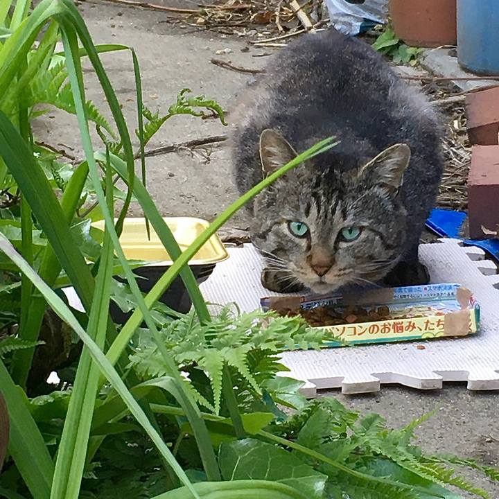 298b5385 c7f8 449d 93e4 b5206aa93734 1620286392908