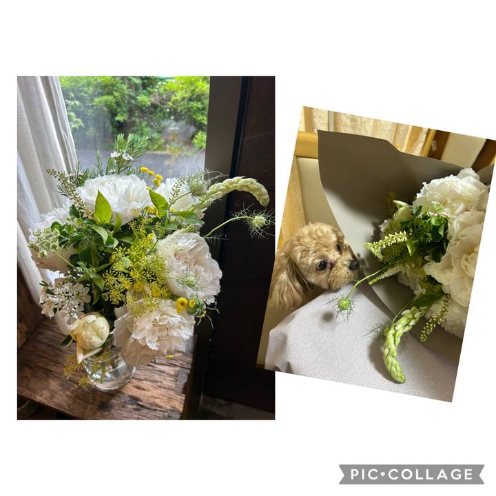 298b6c93 9965 4dbb 89b3 81d2db58b426 1747546622092