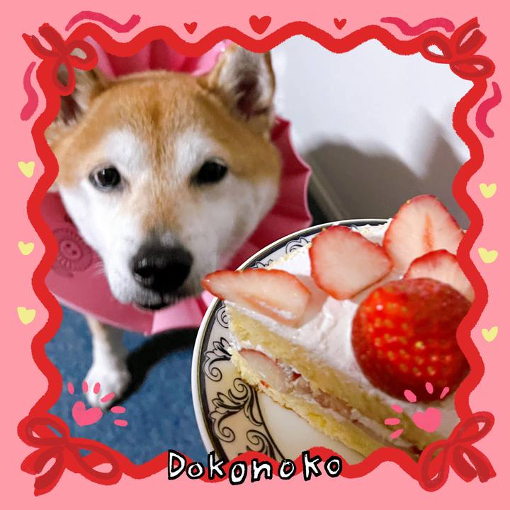 298bb61a cb6c 4361 9fdb 6fbae0c360a4 1706923941329