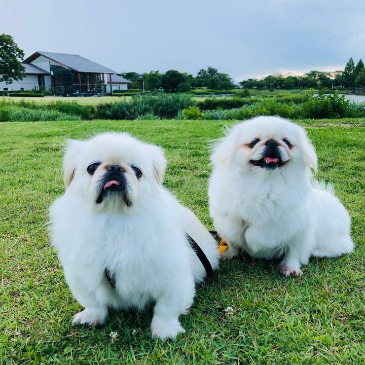 298bc0fa b7a7 4f48 b176 42543adb83d9 1624684641780