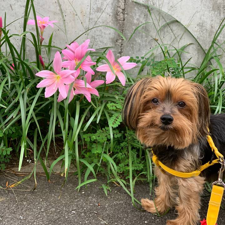 298bd6ec ba9e 440d a5f6 e52d4bed1ebc 1600328716483