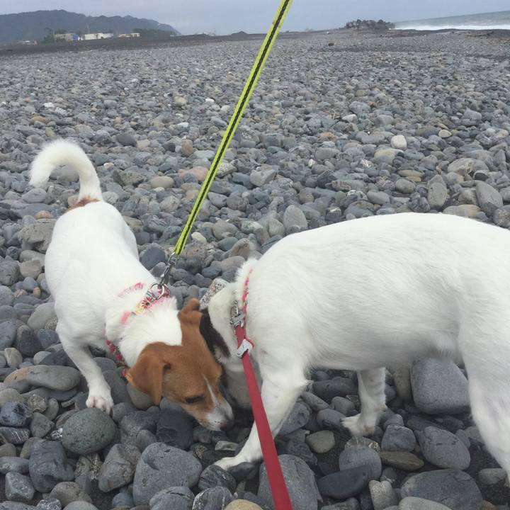 298c9d63 055c 4f92 b223 269266f71638 1537595366920