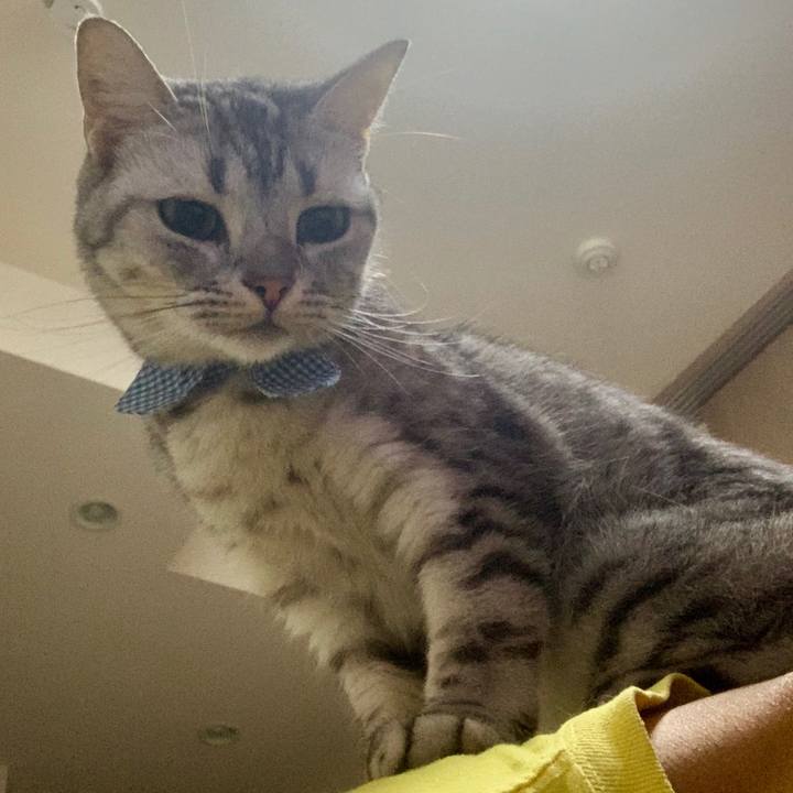 298cbe2f fc5e 47ad 8220 84ba2bae6fa2 1570705288935