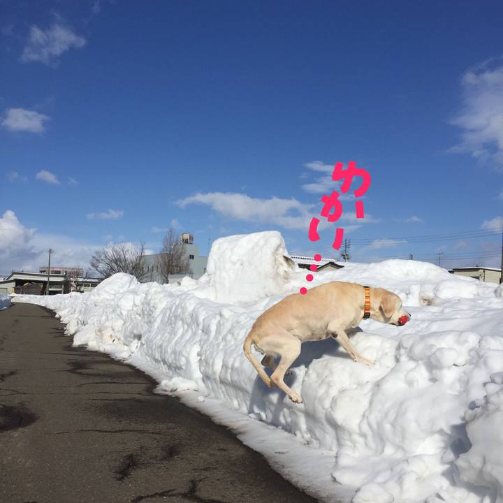 298cc470 f42b 4020 8877 cf76fef40797 1517721473939