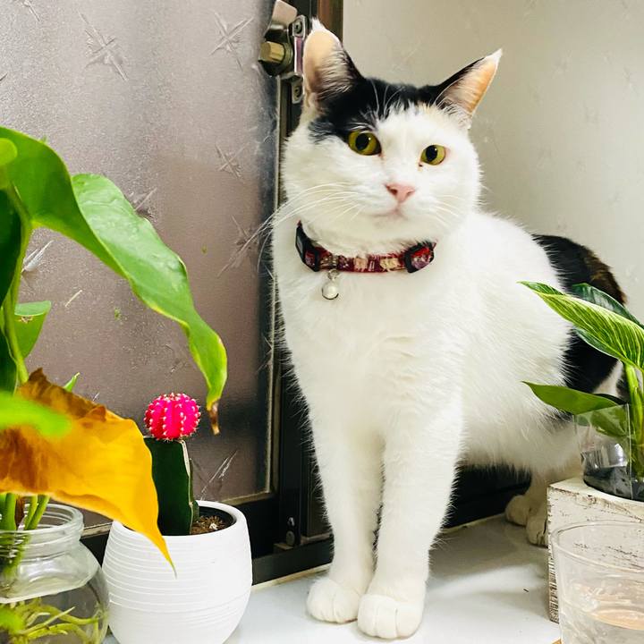 298cf88a 76d5 45fe 87fa 77311ef51df3 1680825152417