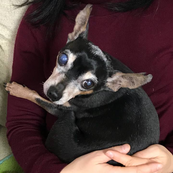 298d1cbe 0fa0 481f 89f6 891e540afa3b 1547268905968