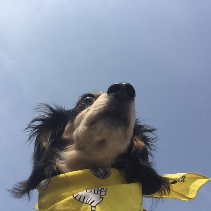 298d33f8 5405 4d46 8d00 51c622956a12 1522715153457