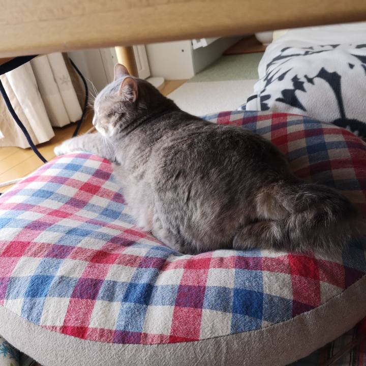 298d4ca5 2a33 4f7c 8107 eb87718f928d 1588415735409