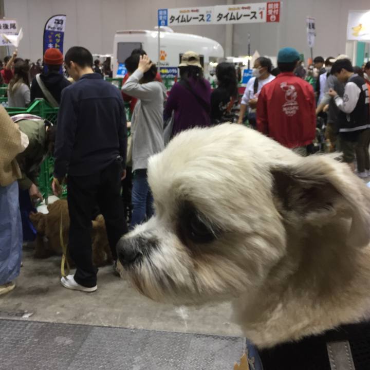 298d51e5 64d6 4768 bbde 6261d05bdb91 1522411501767