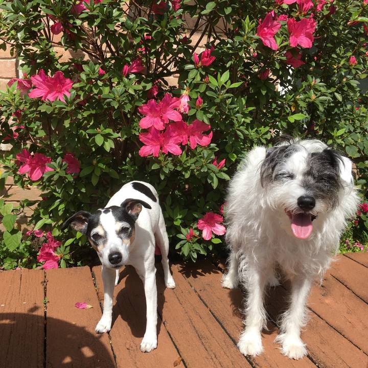 298d6e74 3477 46c7 87d3 729040214e0f 1550526889091