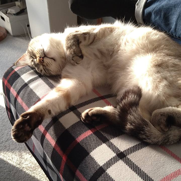 298d9a63 6d13 417a af5a c38310468039 1613200656283