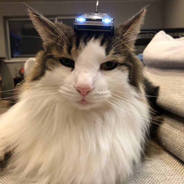 298da5b6 ec22 42a8 bb72 2d219fe63b29 1655801319375