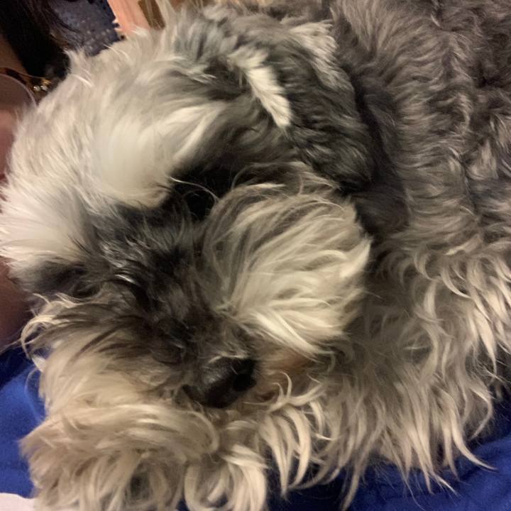 298e134b 43c4 465d bc86 cf8e2ba67b64 1617885469753