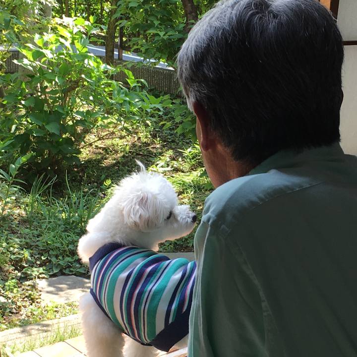 298e4581 ee19 4b70 b8b0 3ad29437bc28 1556952625989