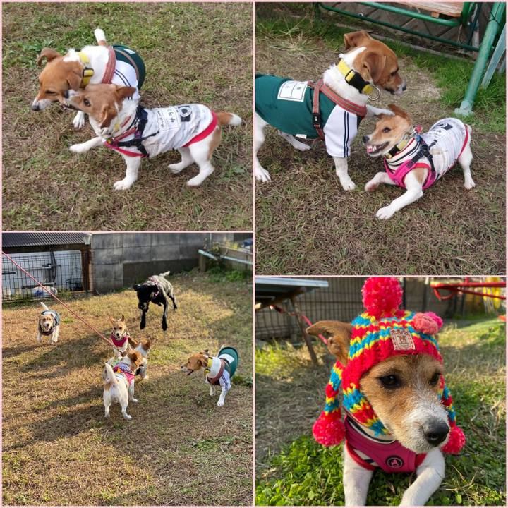 298e69c6 90b1 4d8e 956f 11d1cceed2b3 1574174777696