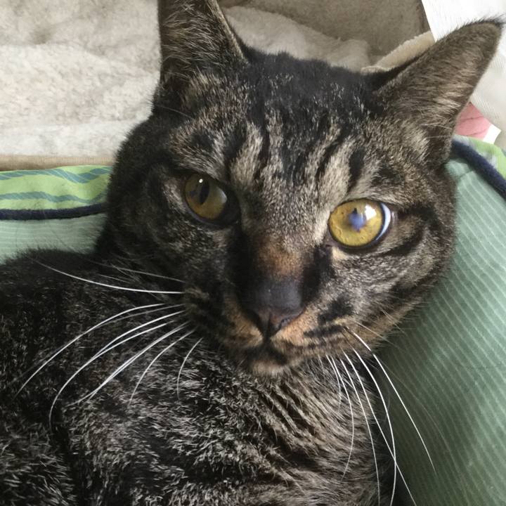 298e74b4 f822 4113 80f3 c781ea97d0b6 1593301838142