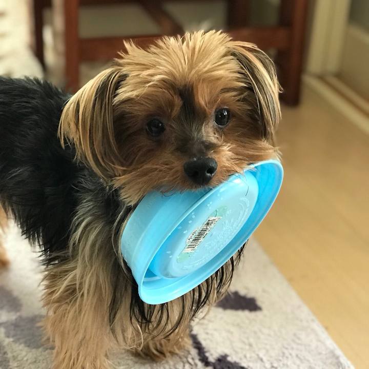 298e84a6 869b 4705 950c 96adc422f902 1511477798728