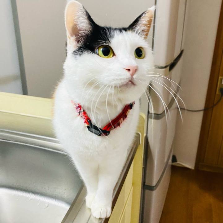 298e96ed 13e6 41f2 8484 efe9d5498ecd 1702989486599