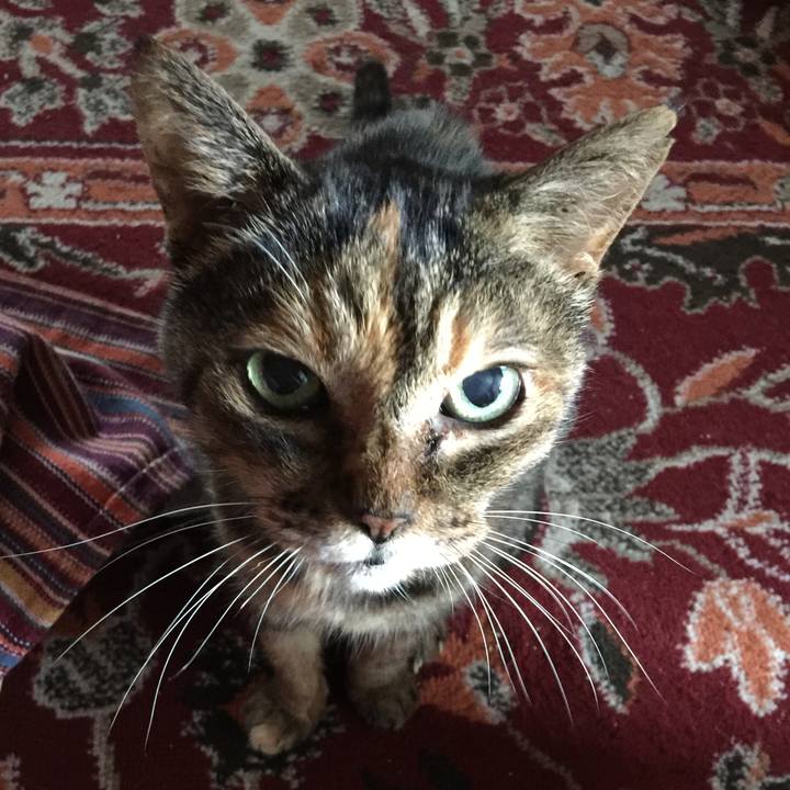 298e9be8 3dbd 44ea b4f6 fe945b641a9b 1636435192128