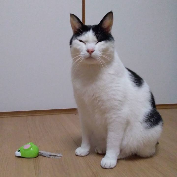 298ea3c3 c6bc 4281 9d73 eb29449e92c9 1519908815092