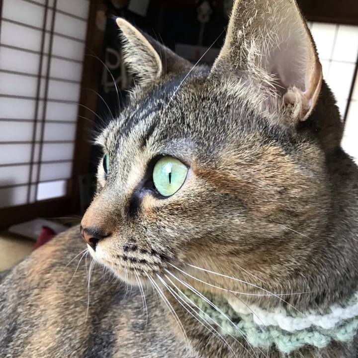 298eaddd 113a 4055 bc2e 88192a9a56ad 1647153416990