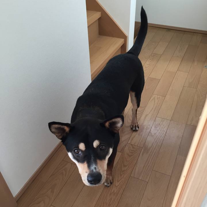 298ed5cb 0d02 47cd 949a 7f0f5a7d2c47 1519264727880