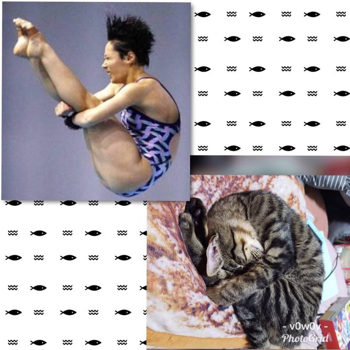 298f0538 bc3b 46bb 89d1 93cdb80cc937 1543683492838