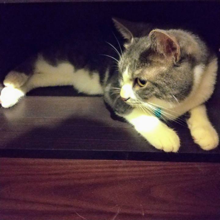 298f12ca d7e1 4f6f a4dd b322f5b99156 1626269472395