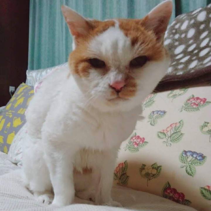 298f200c 53d1 4cfd 8bf7 0d33b4c7cfbd 1700092578650