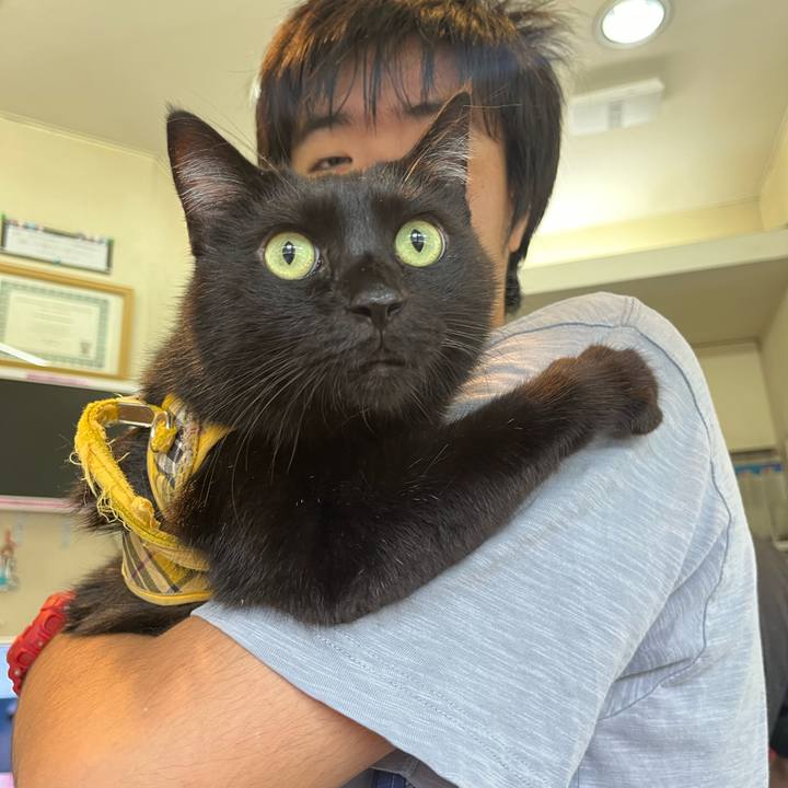 298f3a70 be1d 4bd1 bebe 3701b8a75778 1727489280011