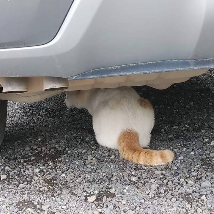 298f465f 13c9 43b7 b87c a9c6e9f15224 1652785848480