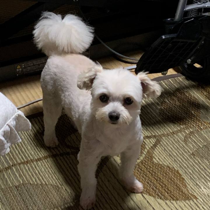 298f4e91 7f02 47a8 8d13 29bd296af712 1595931803320