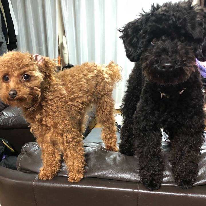 298f5398 0c64 4f1f 844b 49ab429b86b9 1519724978192