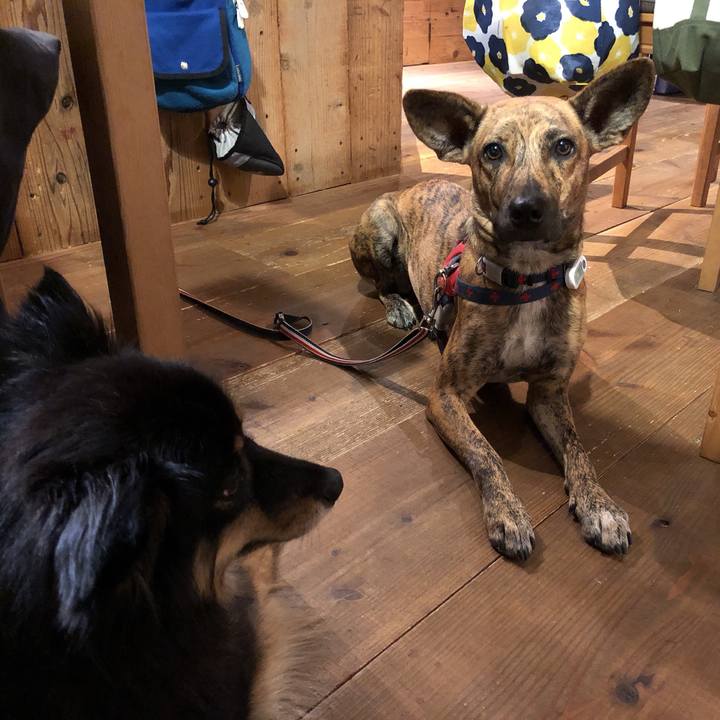 298f76b7 b281 4bd3 a617 620d625f59f2 1604059106830