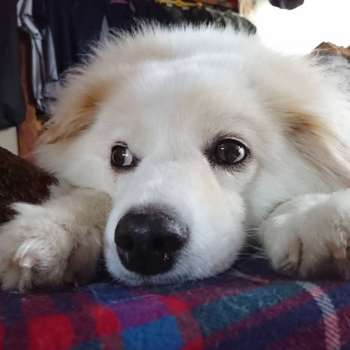 298f8823 03ac 410f 9b95 fdf63a89f1b2 1532554396950