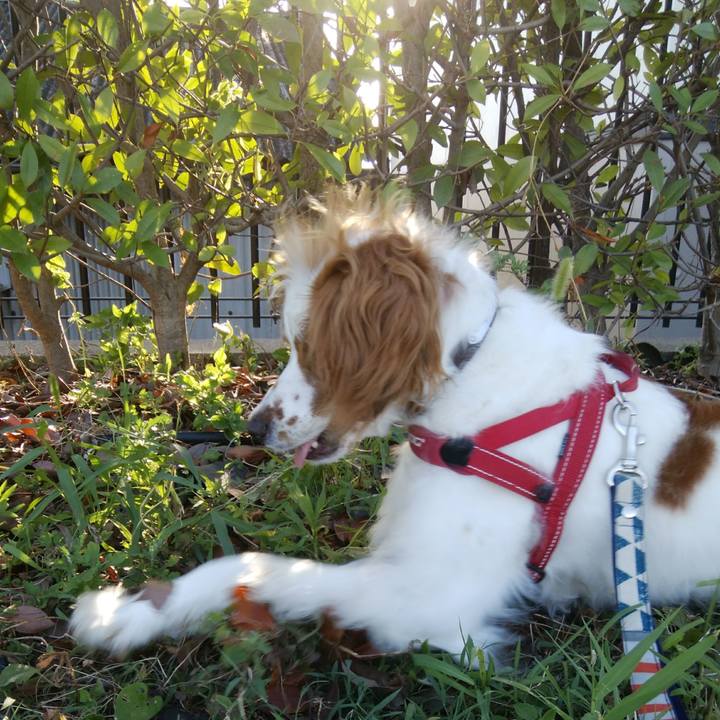 298fbe74 75a7 4054 aae3 ee18fde6412a 1532260019049